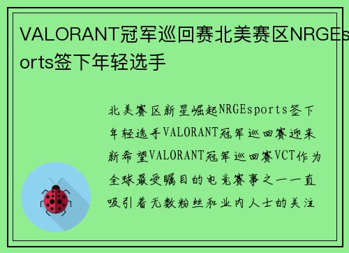 VALORANT冠军巡回赛北美赛区NRGEsports签下年轻选手