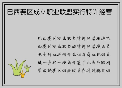 巴西赛区成立职业联盟实行特许经营